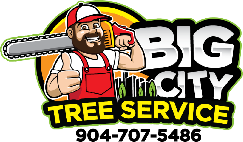 Big City Tree Service